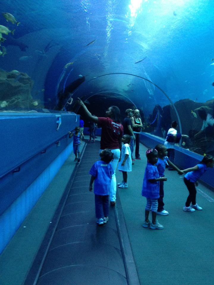 georgia aquarium stamped diary