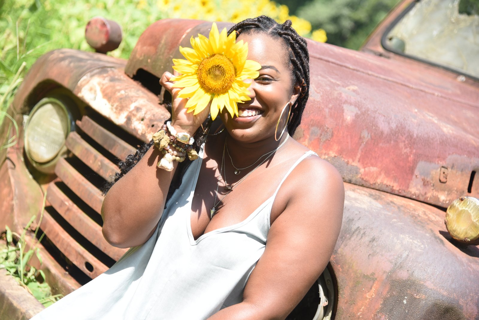 Sunflower fields in Georgia 
