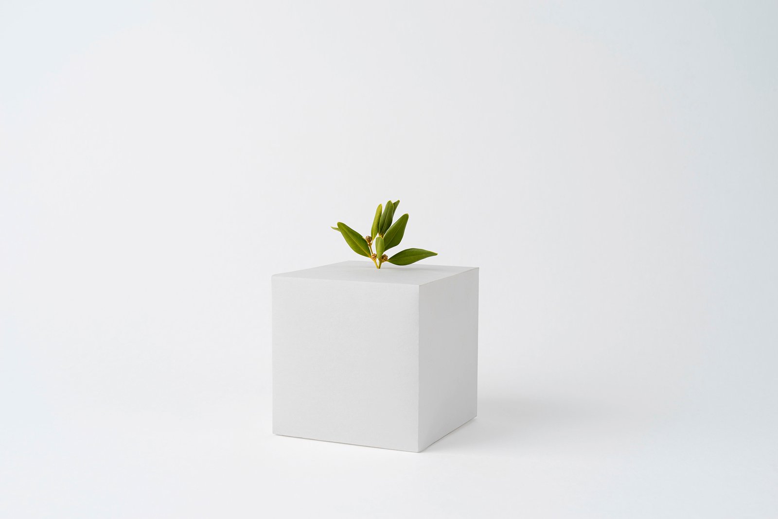 Cubic Ceramic Vase